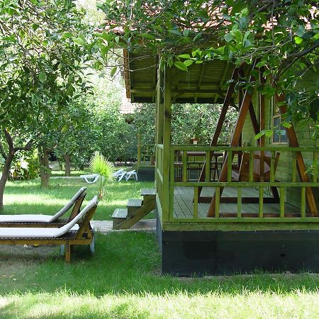 Hotel Yavuz Bungalow Cirali Bagian luar foto
