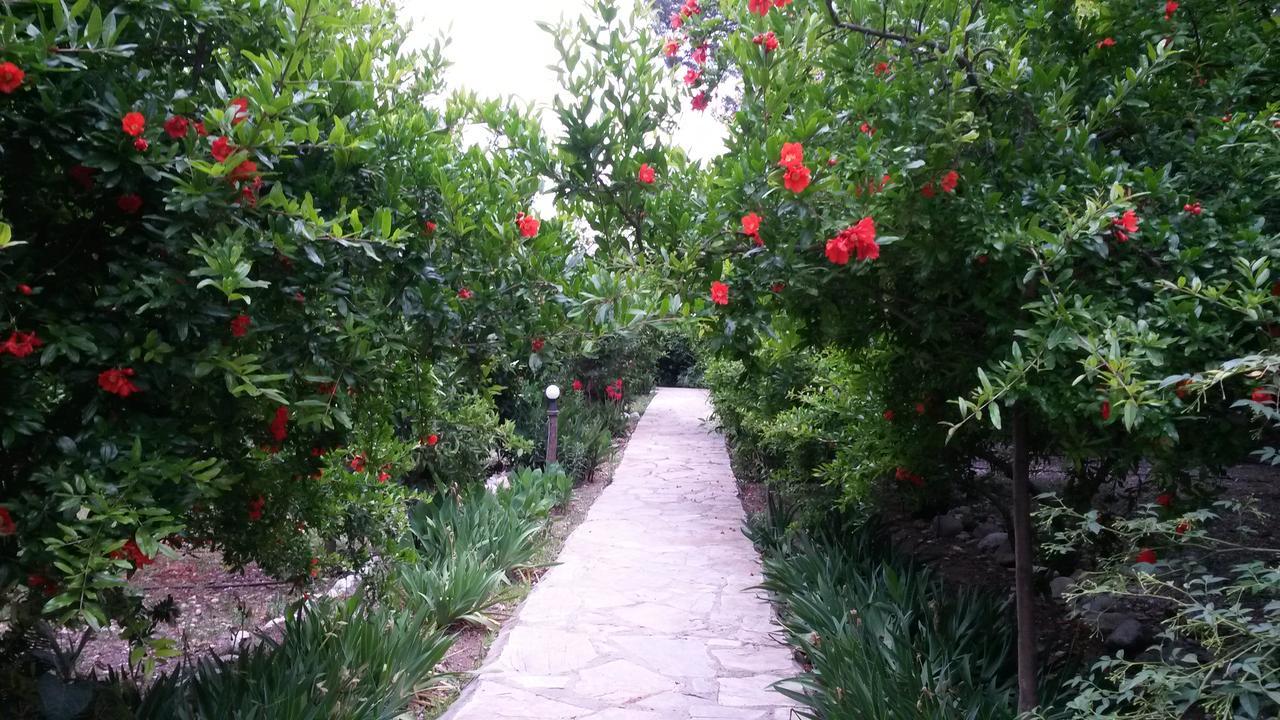 Hotel Yavuz Bungalow Cirali Bagian luar foto