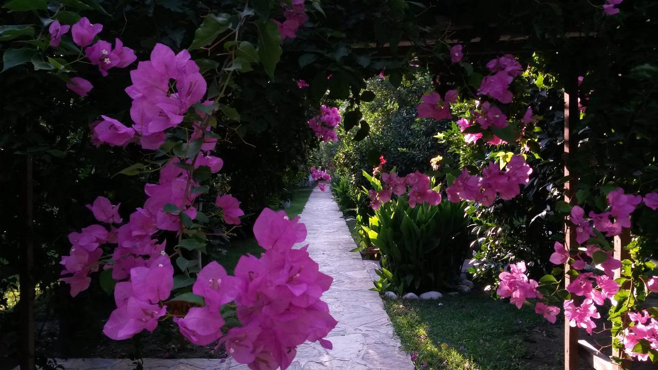 Hotel Yavuz Bungalow Cirali Bagian luar foto