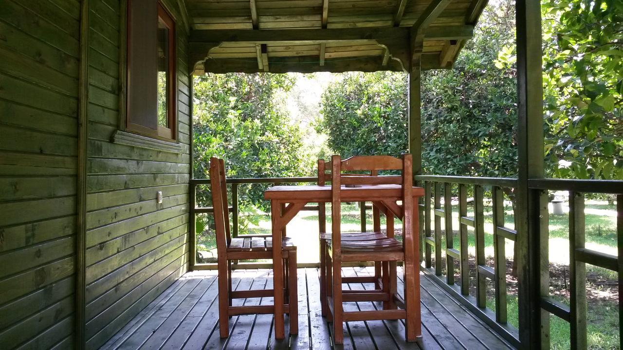 Hotel Yavuz Bungalow Cirali Bagian luar foto
