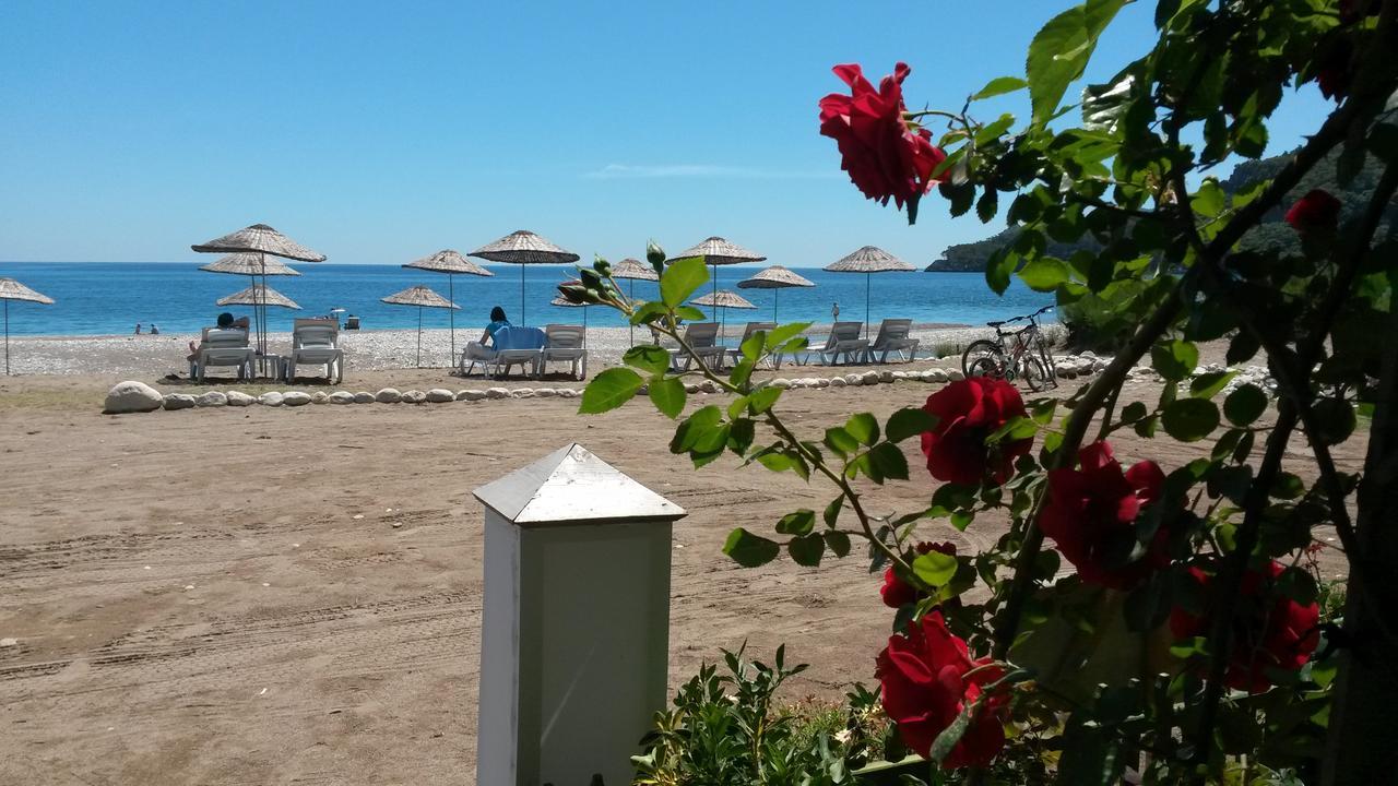 Hotel Yavuz Bungalow Cirali Bagian luar foto